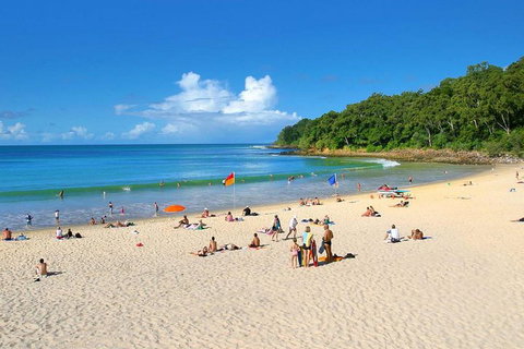 Noosa Everglades Serenity Cruise & Highlights Tour Inc. Lunch & Cruise - Maitland Accommodation 4