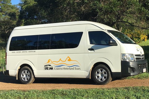 Noosa Everglades Serenity Cruise & Highlights Tour Inc. Lunch & Cruise - Maitland Accommodation 5