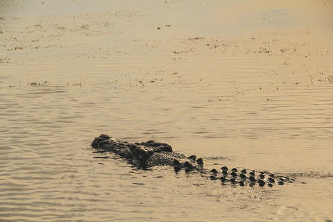 Yellow Water Cruise - Kakadu - Maitland Accommodation 2