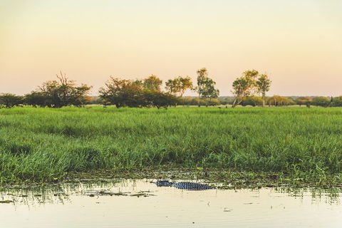 Yellow Water Cruise - Kakadu - Maitland Accommodation 3