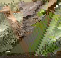 Blue Mountains Private Full-Day Tour from Sydney with Cruise - Maitland Accommodation