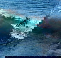 Great Ocean Road Highlights Tour - 2 Days 1 Night - Maitland Accommodation