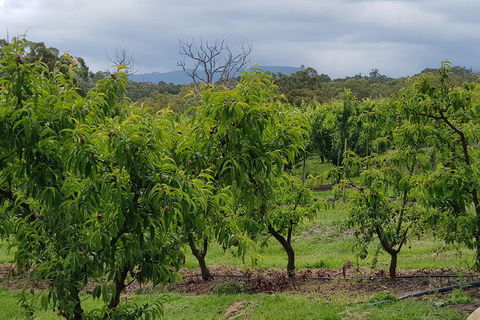 Yarra Valley Wineries And Rayners Orchard Tour From Melbourne - Maitland Accommodation 2