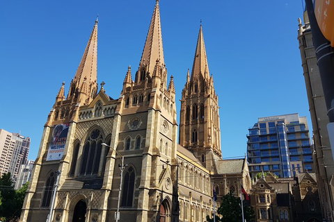 In And Around Melbourne - Maitland Accommodation 5