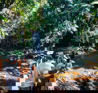 Aquaduck  Your choice of Gold Coast Rainforest Tour - Maitland Accommodation