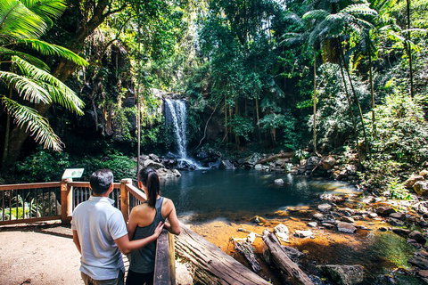 Aquaduck & Your Choice Of Gold Coast Rainforest Tour - Maitland Accommodation 0