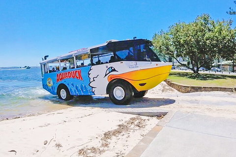 Aquaduck & Your Choice Of Gold Coast Rainforest Tour - Maitland Accommodation 1