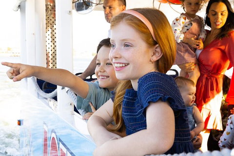 Aquaduck & Your Choice Of Gold Coast Rainforest Tour - Maitland Accommodation 2