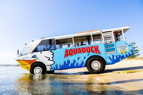 Aquaduck & Your Choice Of Gold Coast Rainforest Tour - Maitland Accommodation 3