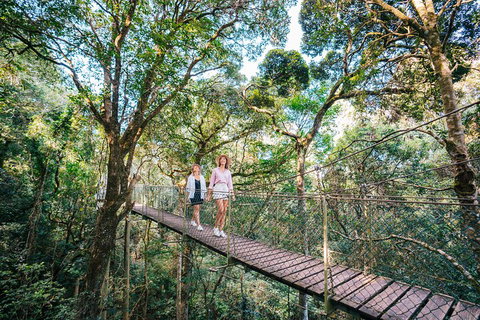 Aquaduck & Your Choice Of Gold Coast Rainforest Tour - Maitland Accommodation 4