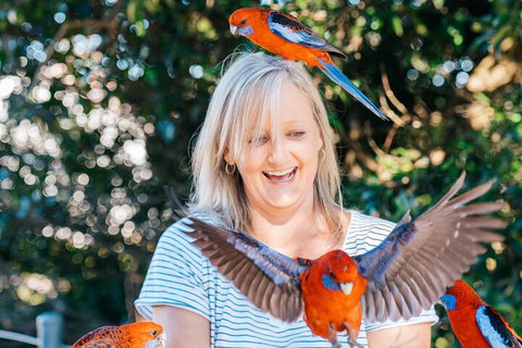 Aquaduck & Your Choice Of Gold Coast Rainforest Tour - Maitland Accommodation 5