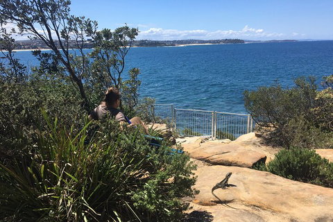 Manly Snorkel Trip And Nature Walk With Local Guide - Maitland Accommodation 4
