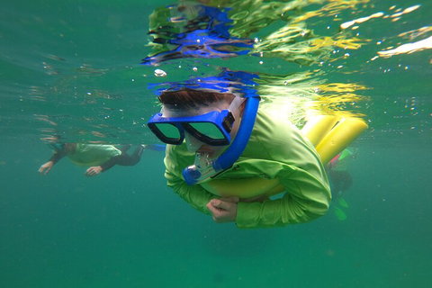 Manly Snorkel Trip And Nature Walk With Local Guide - Maitland Accommodation 5