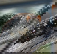 Sunset Experience - Maitland Accommodation