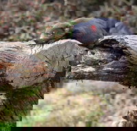 Day Keeper Tour - Maitland Accommodation