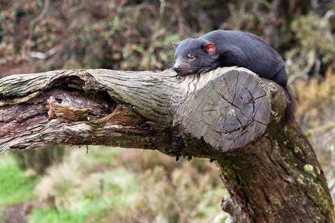 Day Keeper Tour - Maitland Accommodation 0
