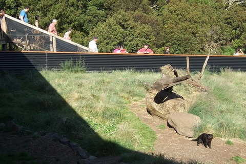 Day Keeper Tour - Maitland Accommodation 2