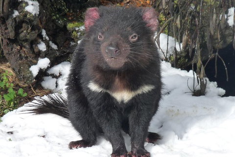 Day Keeper Tour - Maitland Accommodation 4