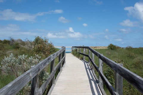 Yanchep & Lancelin - Wildlife, Cave And Sands - Maitland Accommodation 2