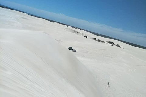 Yanchep & Lancelin - Wildlife, Cave And Sands - Maitland Accommodation 3