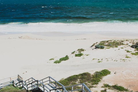 Yanchep & Lancelin - Wildlife, Cave And Sands - Maitland Accommodation 5