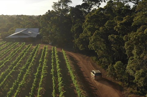 The All About Margaret River Tour: Wine, Coffee, Lunch And Forest - Maitland Accommodation 1