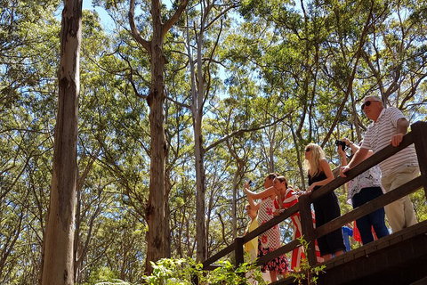 The All About Margaret River Tour: Wine, Coffee, Lunch And Forest - Maitland Accommodation 3