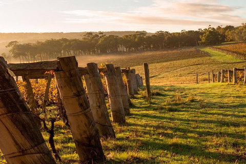 The All About Margaret River Tour: Wine, Coffee, Lunch And Forest - Maitland Accommodation 5