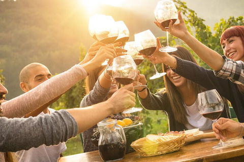 Yarra Valley, Dandenong Ranges Inc. Lunch With Wine,plus Morning Tea,chocolate - Maitland Accommodation 4