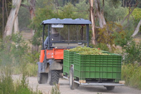 Yarra Valley Private Car Winery Tour And Chocolate.1-7 Passengers One Car Price - Maitland Accommodation 1