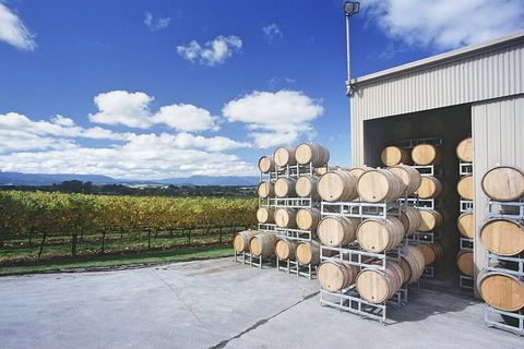 Yarra Valley Private Car Winery Tour And Chocolate.1-7 Passengers One Car Price - Maitland Accommodation 2