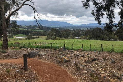 Yarra Valley Wine Tour Inc Lunch With A Glass Of Wine, Tastings And Chocolate - Maitland Accommodation 0