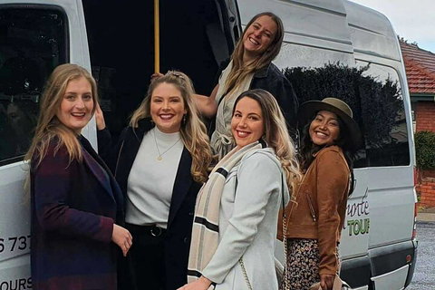 A Full Day Hunter Valley Wine Tasting Tour With Lunch And Tasting Fee's Included - Maitland Accommodation 2