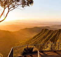 O'Reilly's  Lamington National Park incl. Alpaca Farm  Vineyard - Maitland Accommodation