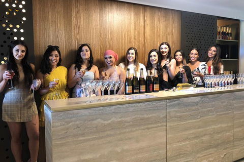 Yarra Valley Public Winery Tours - Maitland Accommodation 0