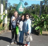 Tropical Fruit World with Wildlife Boat Cruise from Gold Coast - Maitland Accommodation