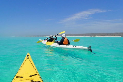 Lagoon Explorer - Ningaloo Reef Full-Day Kayaking And Snorkeling Adventure - Maitland Accommodation 0