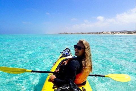 Lagoon Explorer - Ningaloo Reef Full-Day Kayaking And Snorkeling Adventure - Maitland Accommodation 1