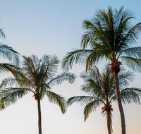 Darwin City Sightseeing Tour - Maitland Accommodation