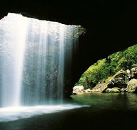 Natural Bridge  Springbrook Waterfalls Tour - Maitland Accommodation