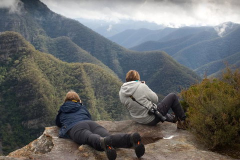 Inside The Greater Blue Mountains World Heritage - A Private Wildlife Safari Overnight - Maitland Accommodation 0