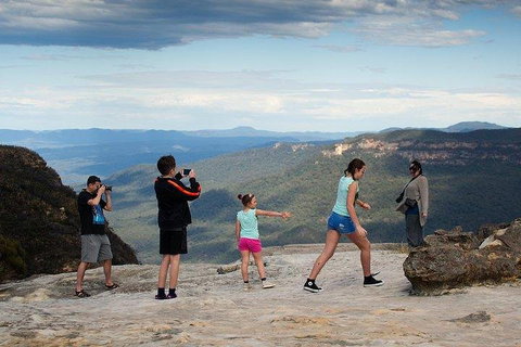 Inside The Greater Blue Mountains World Heritage - A Wildlife Safari Overnight - Maitland Accommodation 3
