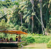 Tropical Fruit World Farm Full Tour - Maitland Accommodation