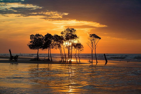 Delightful Darwin Self-Guided Audio Tour - Maitland Accommodation 3