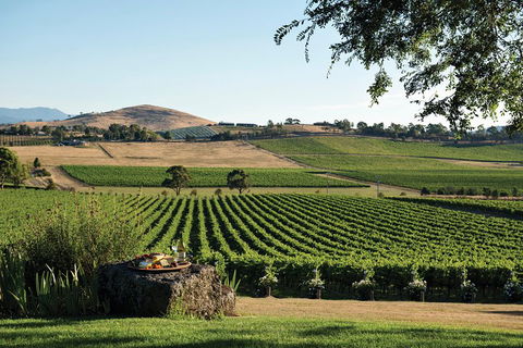 Small Group 6 Guests: Ultimate Yarra Valley Food And Wine - Mercedes Van - Maitland Accommodation 4