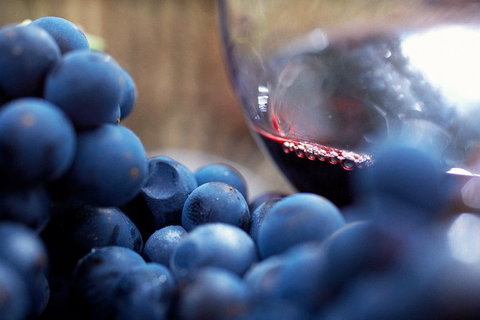 Yarra Valley 2-6 Guests Premium Food And Wine Inc Lunch At Dominique Portet - Maitland Accommodation 5