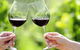 Yarra Valley Premium Tour Inc Lunch And Cheese And Wine Pairing At De Bortoli - thumb 5