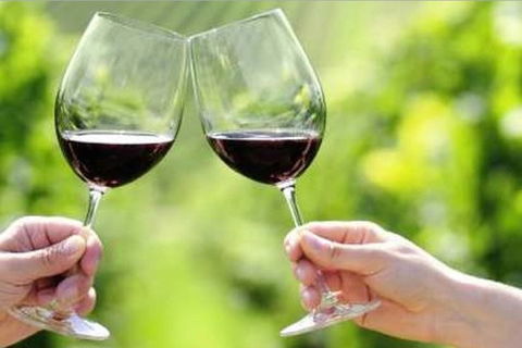 Yarra Valley Premium Tour Inc Lunch And Cheese And Wine Pairing At De Bortoli - Maitland Accommodation 5