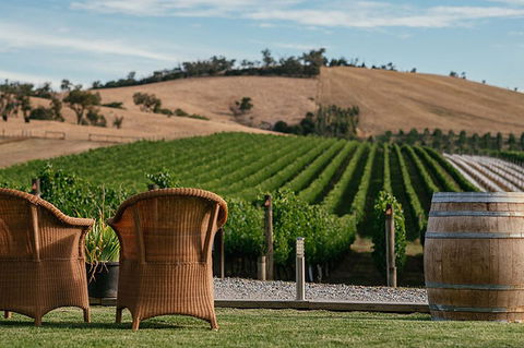 Yarra Valley 2-6 Guests With Lunch And Gin Tasting At Four Pillars - Maitland Accommodation 5