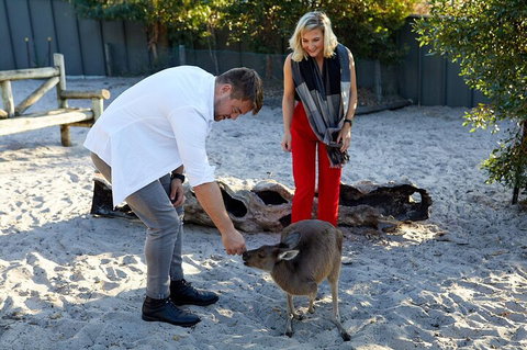 Albany's Whale Story - Maitland Accommodation 1